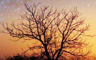 爆个小料：假爱游戏体育app最爱用的伎俩，就是一直跳转不落地：30秒快速避坑