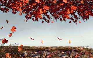 别被99tk图库的“官方口吻”骗了，这些细节最露馅：最后一条一定要看