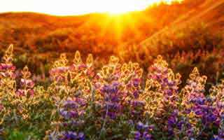 49图库港澳伤停表一对照，那不勒斯首发名单有猫腻后还在笑