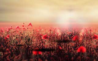 你看到的“开云网页官网”可能只是表面，里面还有一层仿站：1分钟快速避坑