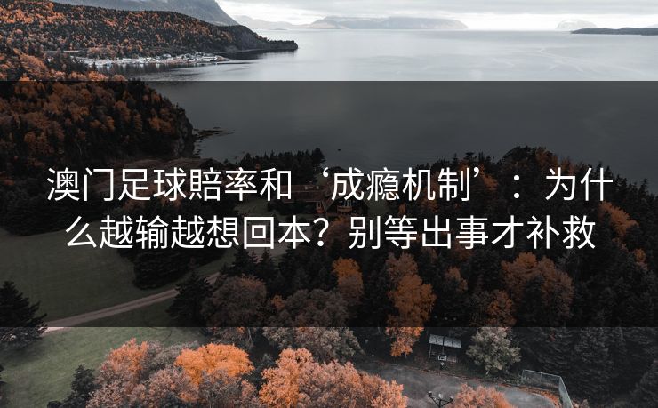 澳门足球賠率和‘成瘾机制’：为什么越输越想回本？别等出事才补救
